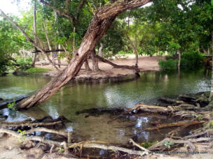 Las Terrenas