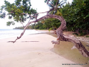 Las Terrenas